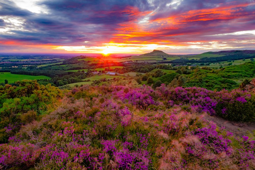 North Yorkshire Moors