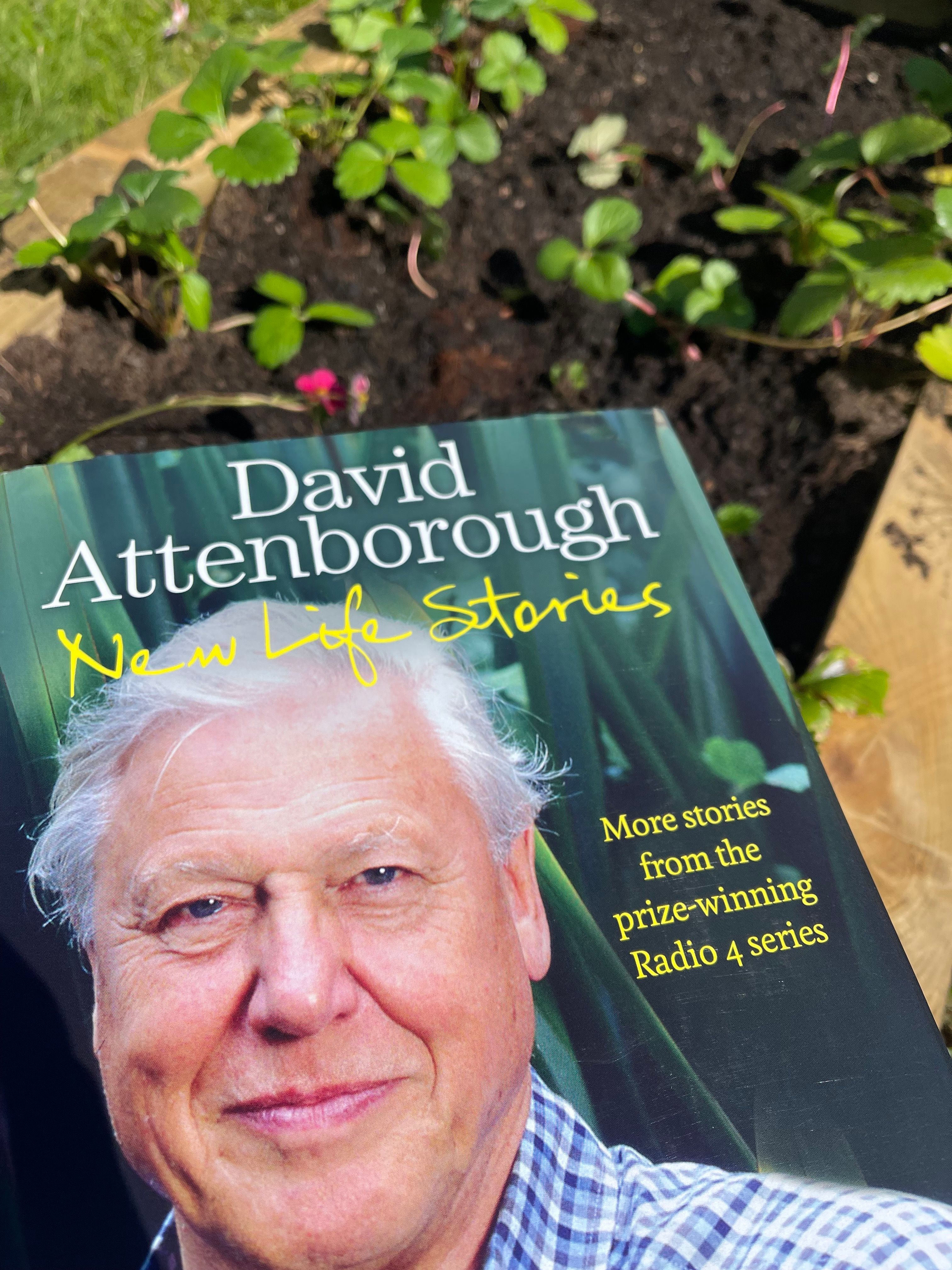 David Attenborough New Life Stories in holiday home garden