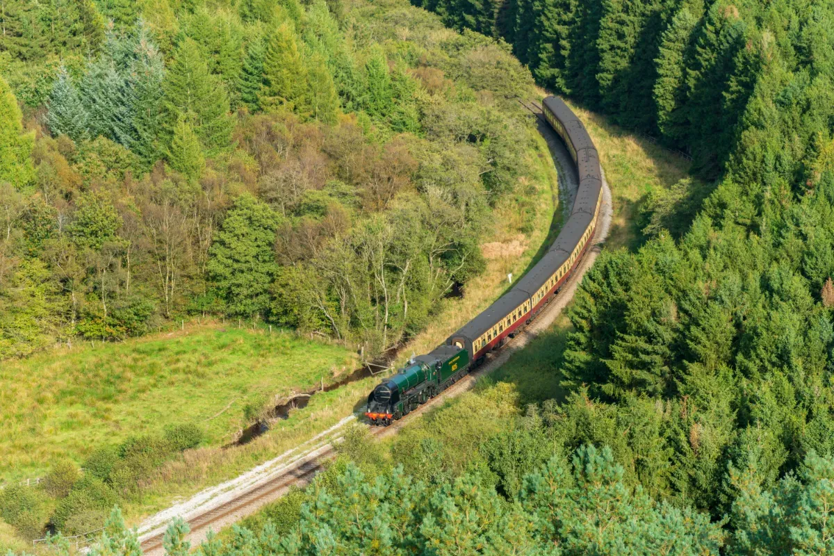 A high view of a North Yorkshire Moors Railway steam train passing through Levisham valley surrounded by trees. 