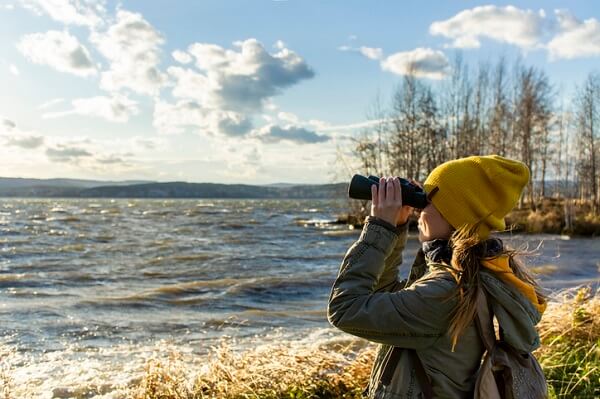 bird watching binoculars.jpg