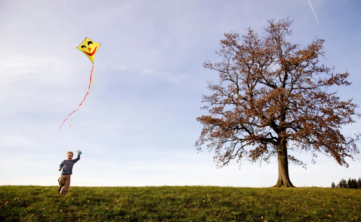 A small boy is flying a yellow kite with a smiley face on it. To the right of the frame is an autumnal tree