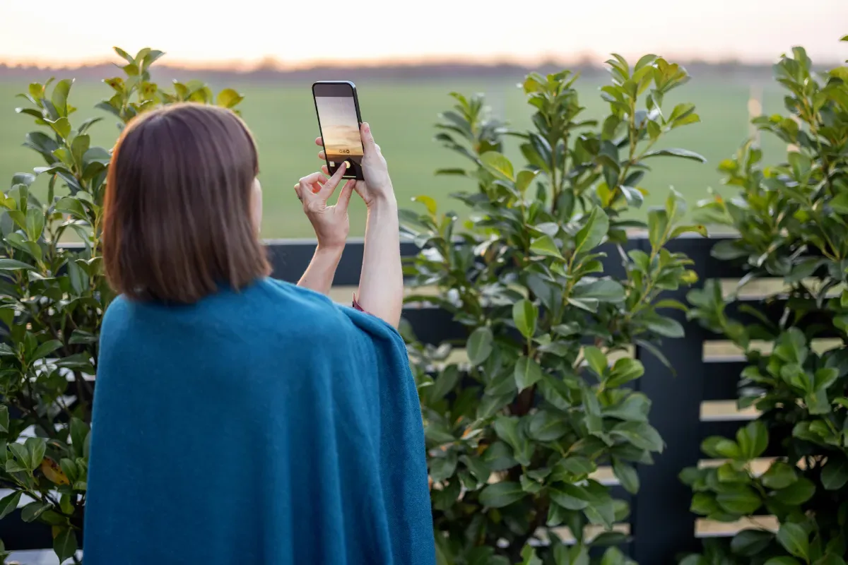 A lady taking a photograph of the sunset over a fence bordered by plants